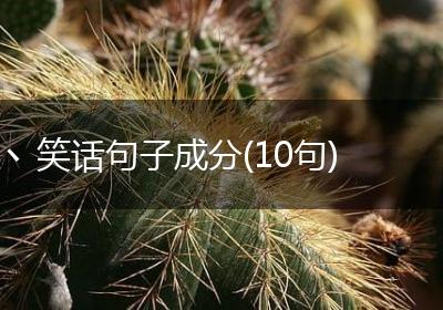 丶笑话句子成分(10句)