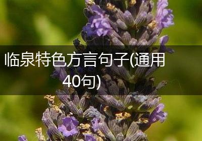 临泉特色方言句子(通用40句)
