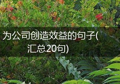 为公司创造效益的句子(汇总20句)