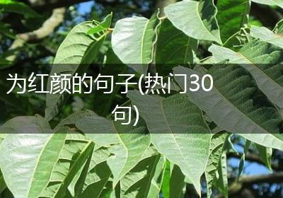 为红颜的句子(热门30句)