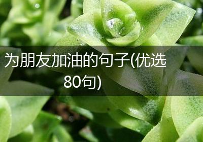 为朋友加油的句子(优选80句)