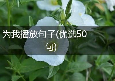 为我播放句子(优选50句)