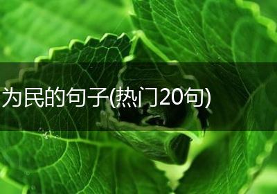 为民的句子(热门20句)