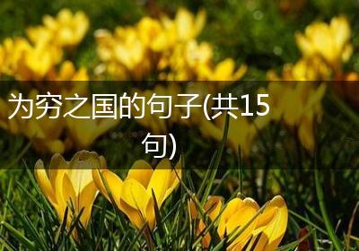 为穷之国的句子(共15句)