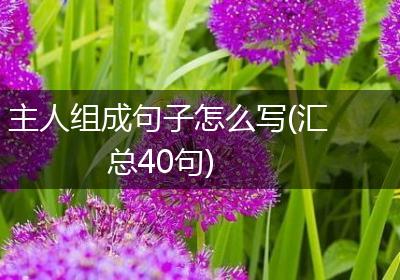 主人组成句子怎么写(汇总40句)