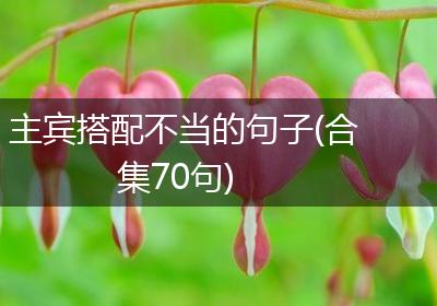 主宾搭配不当的句子(合集70句)