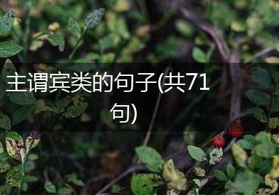 主谓宾类的句子(共71句)
