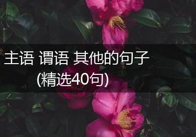 主语 谓语 其他的句子(精选40句)