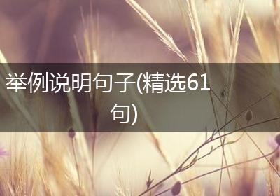 举例说明句子(精选61句)