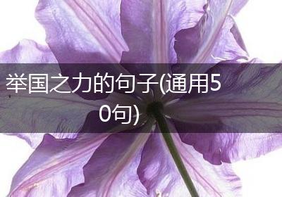举国之力的句子(通用50句)