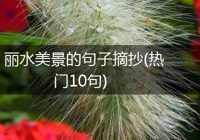 丽水美景的句子摘抄(热门10句)
