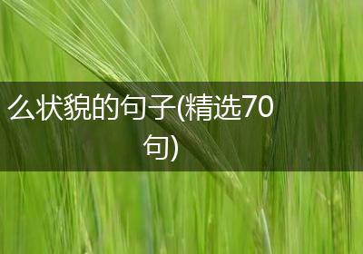 么状貌的句子(精选70句)