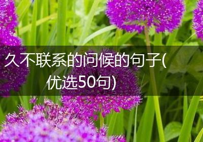 久不联系的问候的句子(优选50句)
