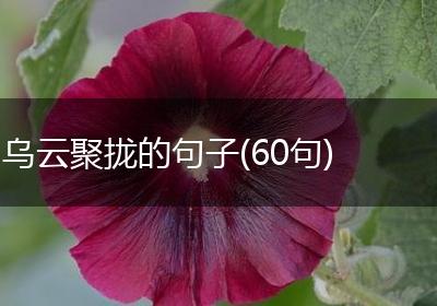 乌云聚拢的句子(60句)