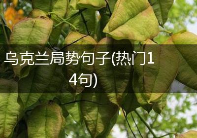 乌克兰局势句子(热门14句)