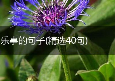 乐事的句子(精选40句)
