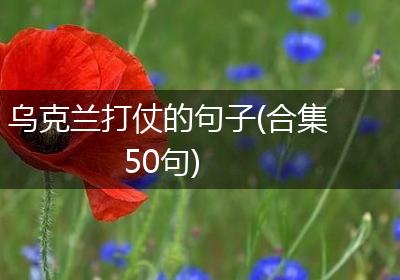 乌克兰打仗的句子(合集50句)