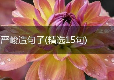 严峻造句子(精选15句)