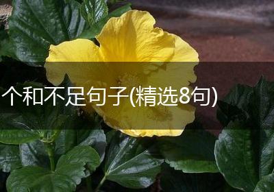个和不足句子(精选8句)