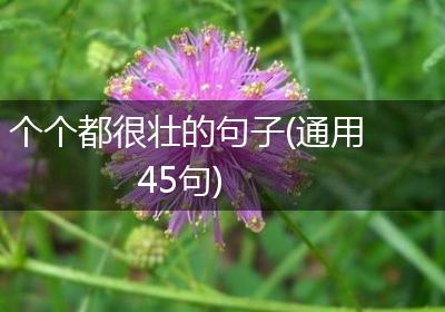 个个都很壮的句子(通用45句)