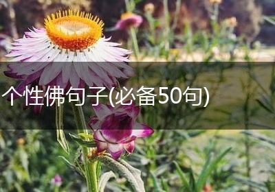 个性佛句子(必备50句)