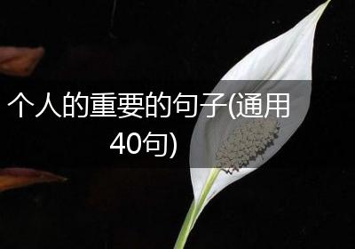 个人的重要的句子(通用40句)
