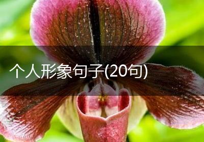 个人形象句子(20句)