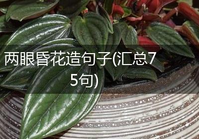 两眼昏花造句子(汇总75句)