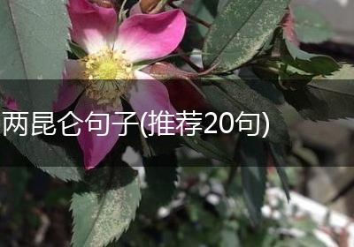 两昆仑句子(推荐20句)