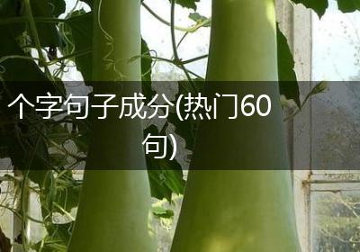 个字句子成分(热门60句)