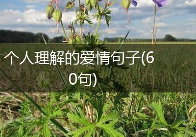 个人理解的爱情句子(60句)