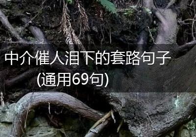 中介催人泪下的套路句子(通用69句)