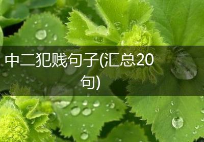 中二犯贱句子(汇总20句)