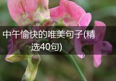中午愉快的唯美句子(精选40句)