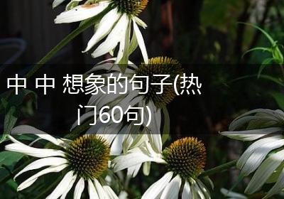 中 中 想象的句子(热门60句)