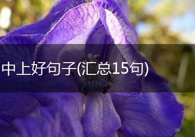 中上好句子(汇总15句)