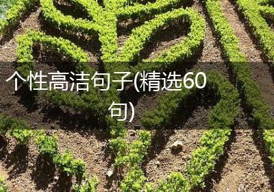 个性高洁句子(精选60句)