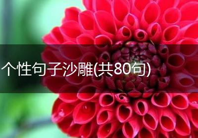 个性句子沙雕(共80句)