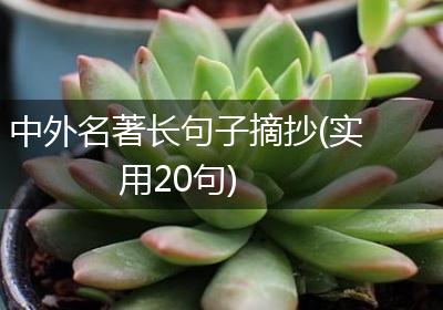 中外名著长句子摘抄(实用20句)