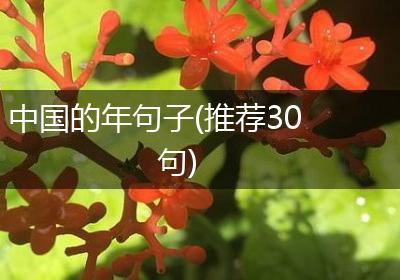 中国的年句子(推荐30句)