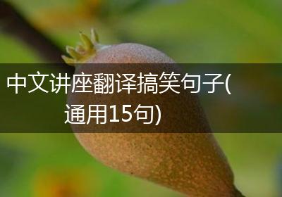 中文讲座翻译搞笑句子(通用15句)