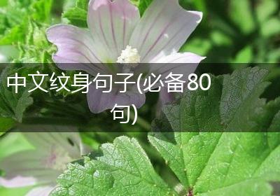 中文纹身句子(必备80句)