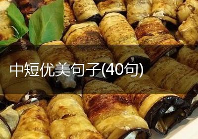 中短优美句子(40句)