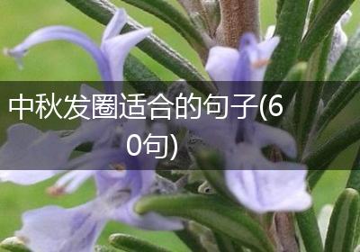 中秋发圈适合的句子(60句)