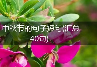 中秋节的句子短句(汇总40句)