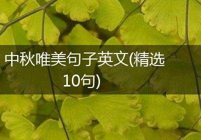 中秋唯美句子英文(精选10句)