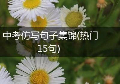 中考仿写句子集锦(热门15句)