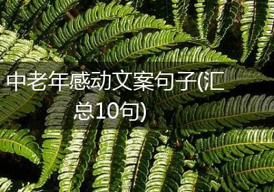 中老年感动文案句子(汇总10句)