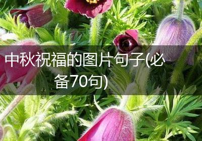 中秋祝福的图片句子(必备70句)