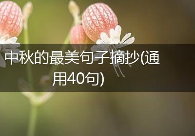 中秋的最美句子摘抄(通用40句)